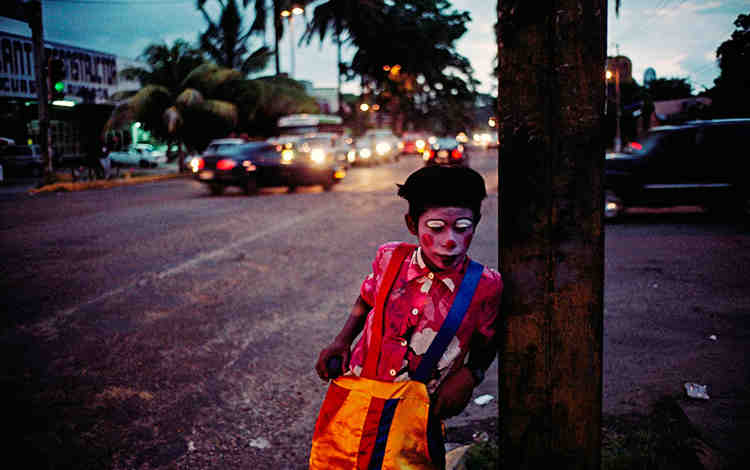 alex, webb